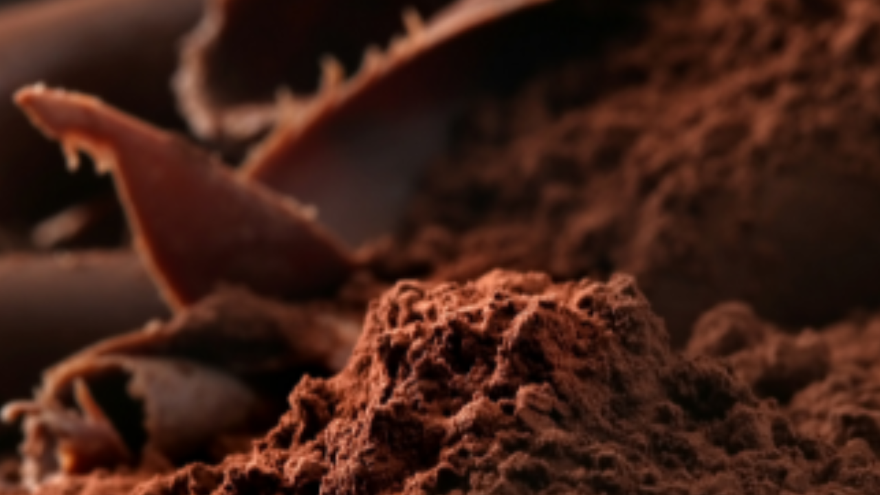 Poudre et copeaux de cacao en gros plan